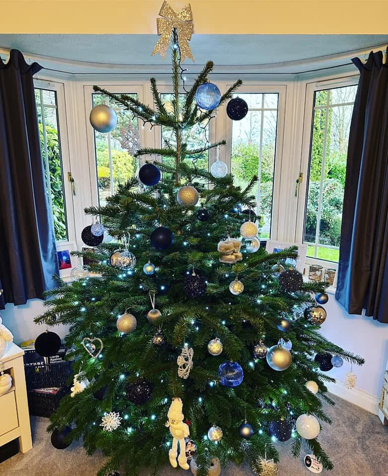 Premium Non drop Nordmann Fir